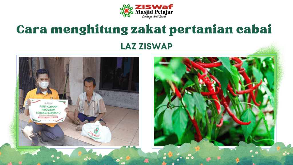 Cara Menghitung Zakat Pertanian Cabai